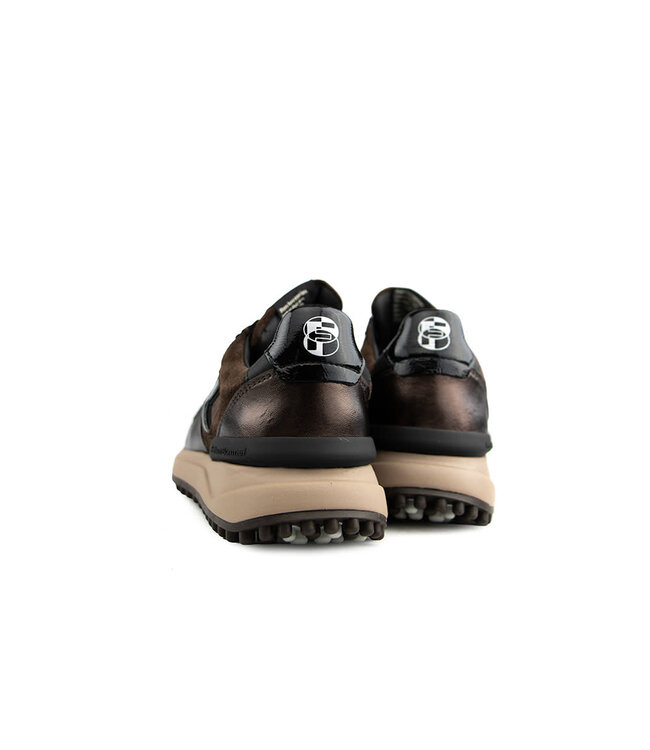 Floris van Bommel Noppi 52.06 Darkbrown