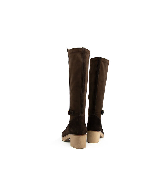 DL Sport Laars Cacao Velour