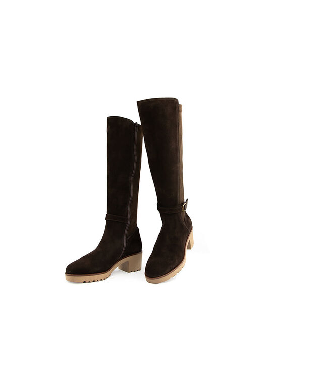DL Sport Laars Cacao Velour