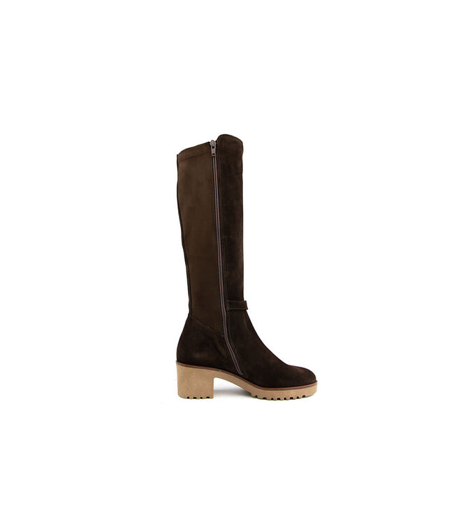 DL Sport Laars Cacao Velour