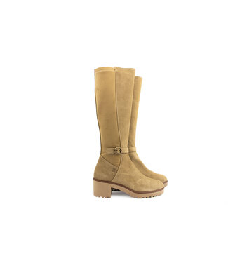 DL-Sport DL Sport Laars Tan Velour