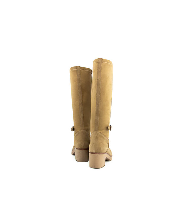 DL Sport Laars Tan Velour