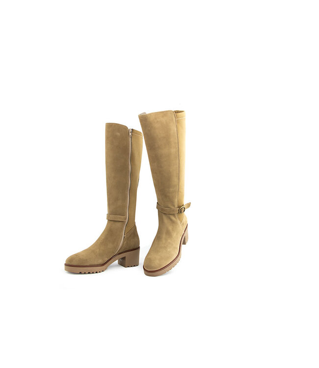 DL Sport Laars Tan Velour