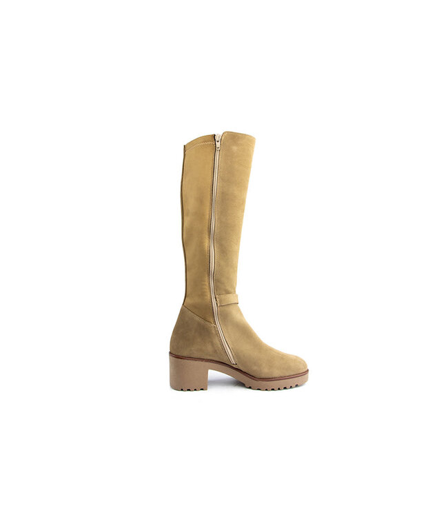 DL Sport Laars Tan Velour