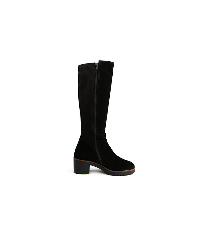 DL Sport Laars Nero Velour