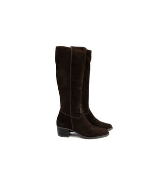 DL-Sport DL Sport Laars Cacao Velour