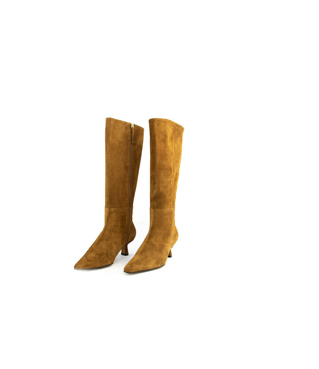 Angel Alarcon Laars Giorgia Cohiba Suede