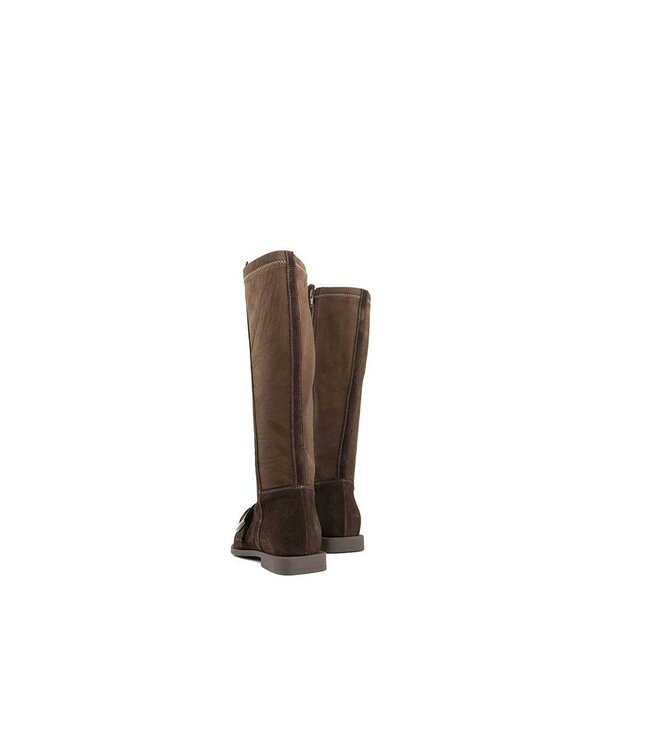 DL Sport Laars Cacao Velour