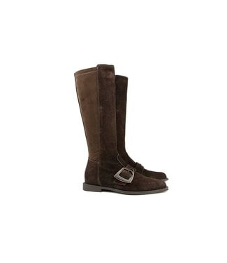 DL-Sport DL Sport Laars Cacao Velour