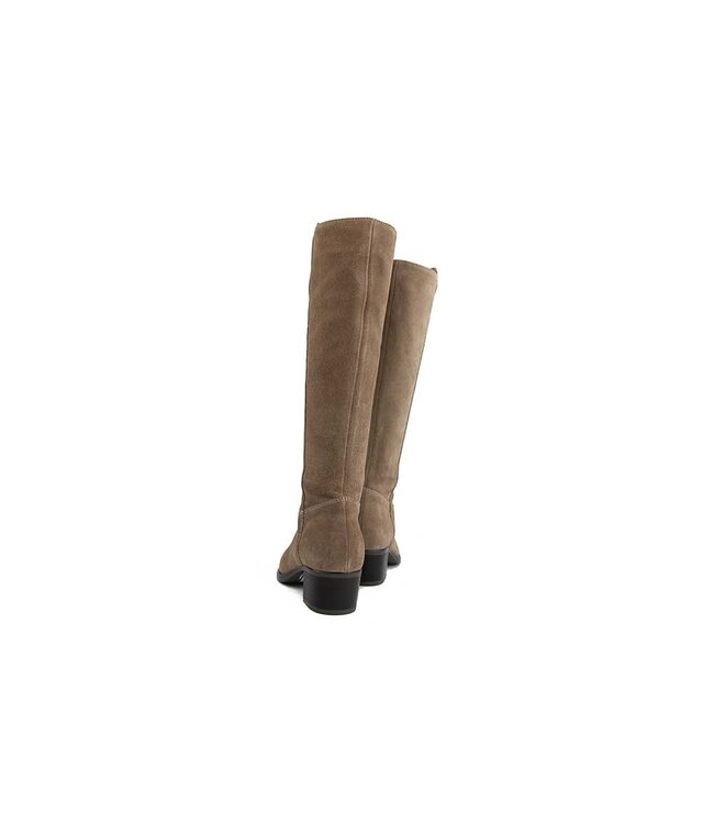 DL Sport Laars Shore Velour