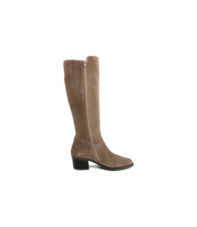 DL Sport Laars Shore Velour
