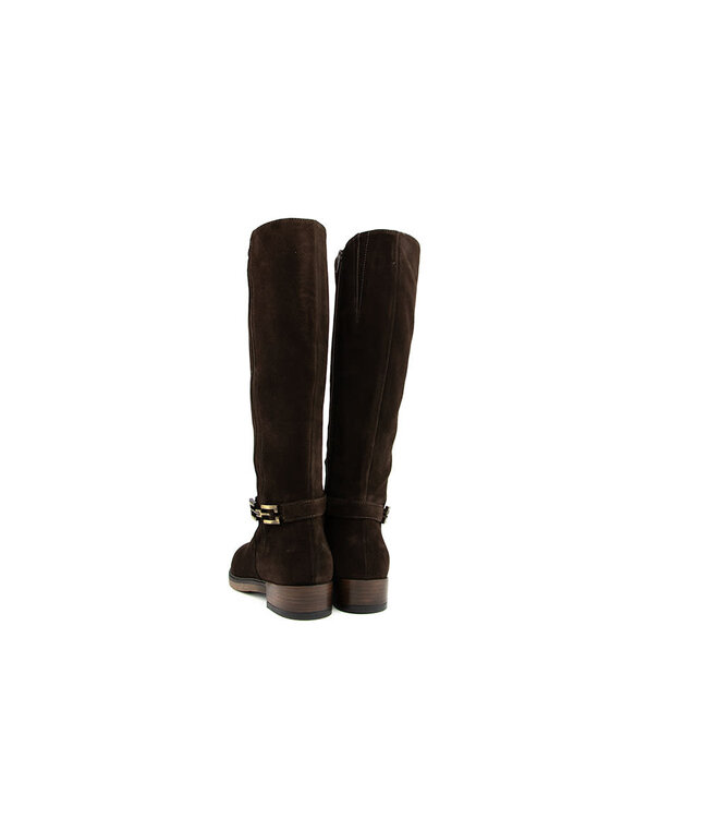 DL Sport Laars Cacao Velour