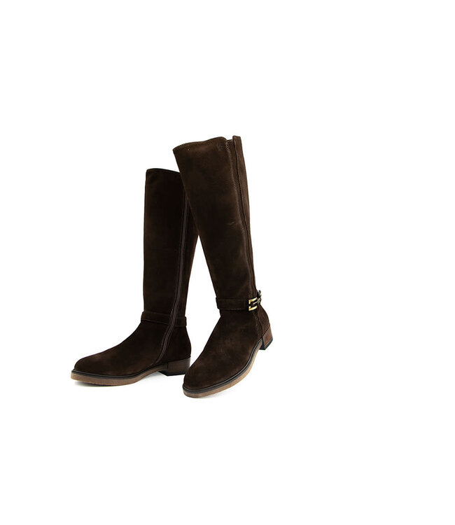 DL Sport Laars Cacao Velour