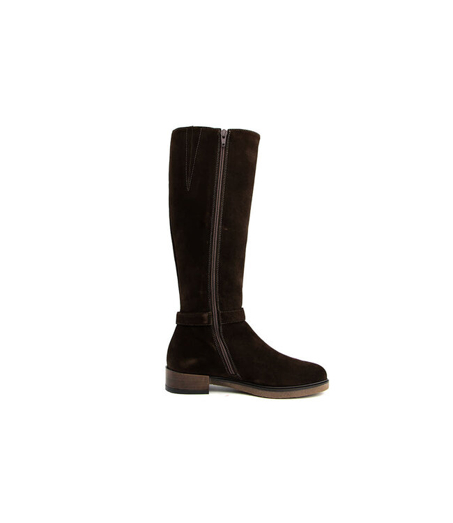 DL Sport Laars Cacao Velour
