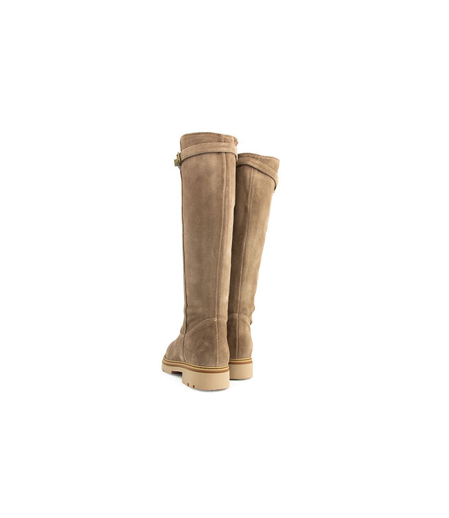 DL Sport Laars Shore Velour