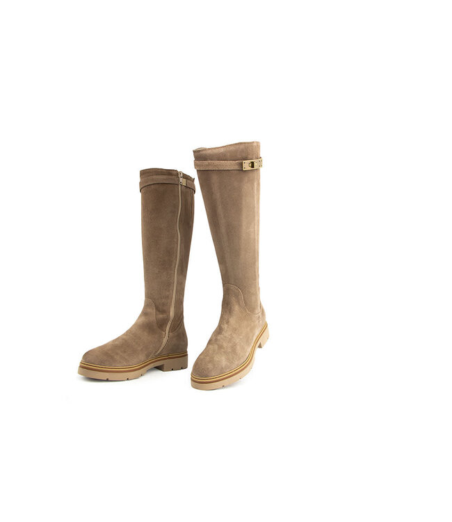 DL Sport Laars Shore Velour