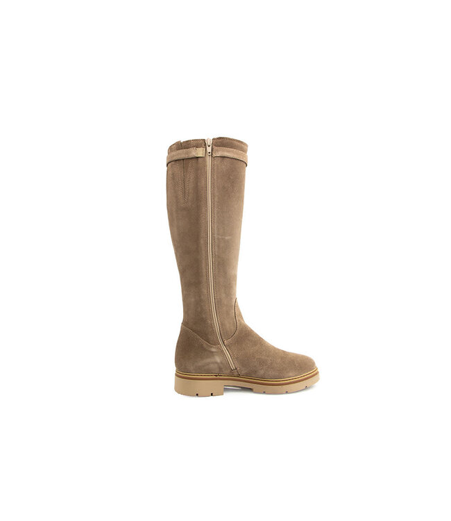 DL Sport Laars Shore Velour