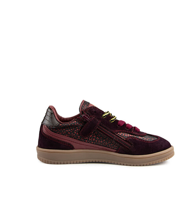 Hip Sneaker Bordo Combi