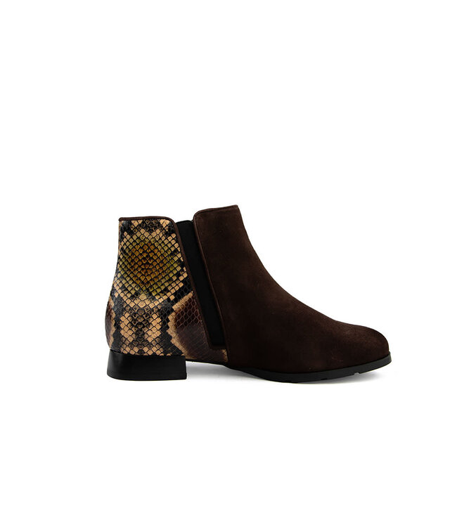 Hassia Madeira Enkellaars Chocplum Snake