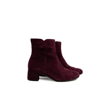 Gabor Gabor Enkellaars Mulberry Samtchevreau