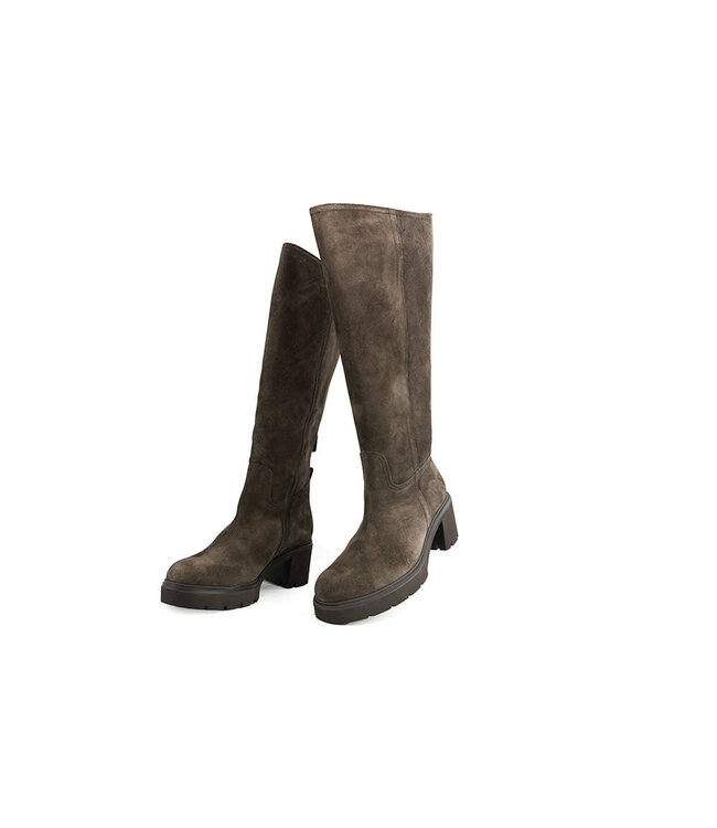 Gabor Laars Mocca Dreamvelour