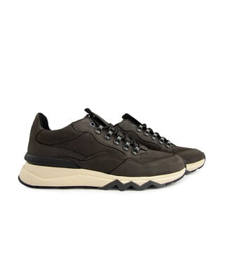 Floris van Bommel Floris van Bommel De Zager 01.29 D.Brown