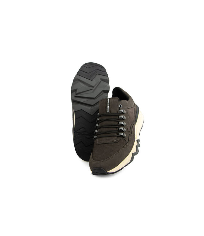 Floris van Bommel De Zager 01.29 D.Brown