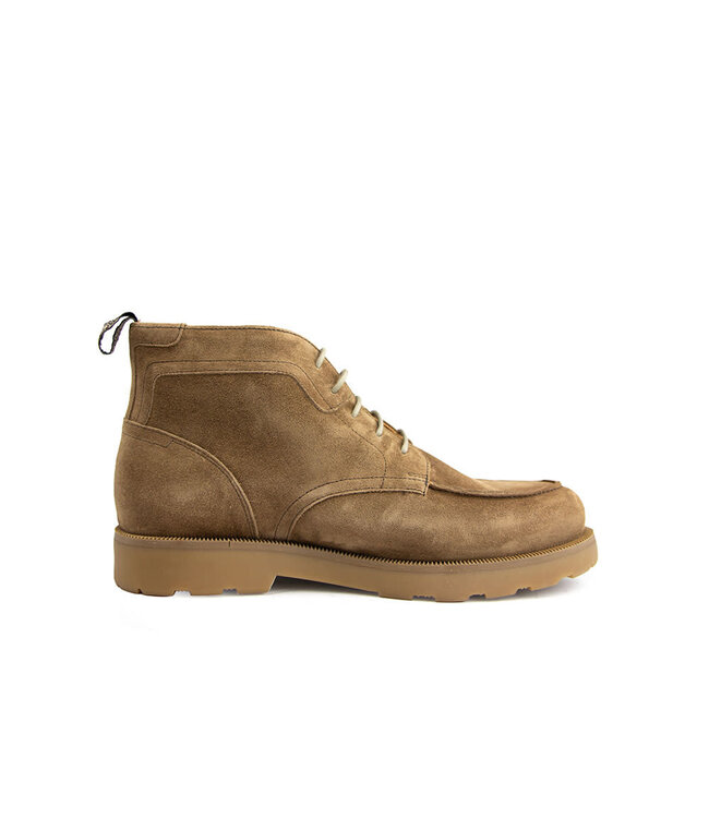Floris van Bommel De Bijler 01.05 L.Brown