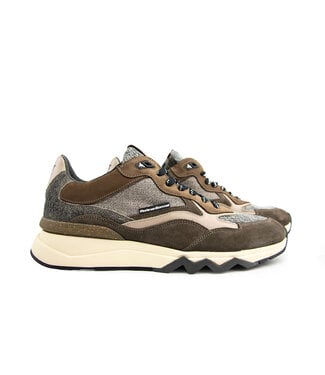 Floris van Bommel Floris van Bommel De Zager 05.36 Taupe