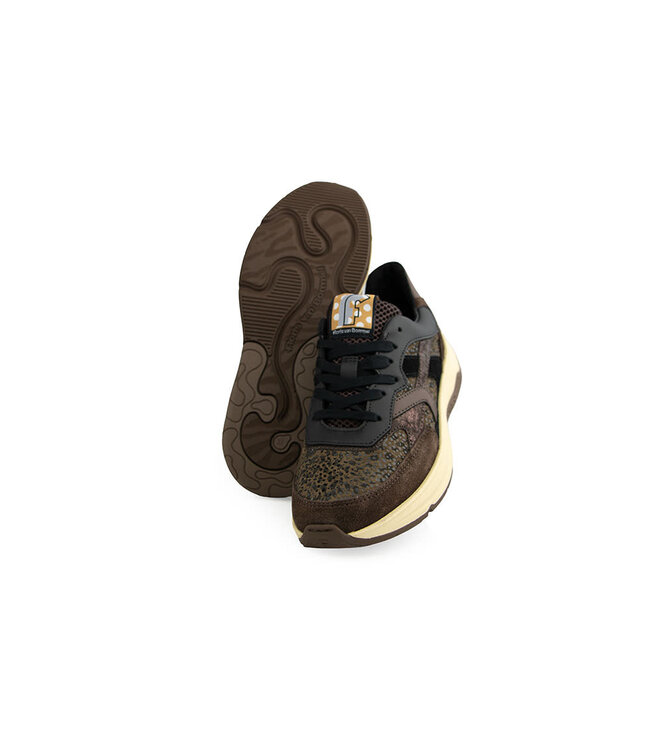 Floris van Bommel Holli 01.01 Brown