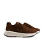 Xsensible Golden Gate Men H Brown