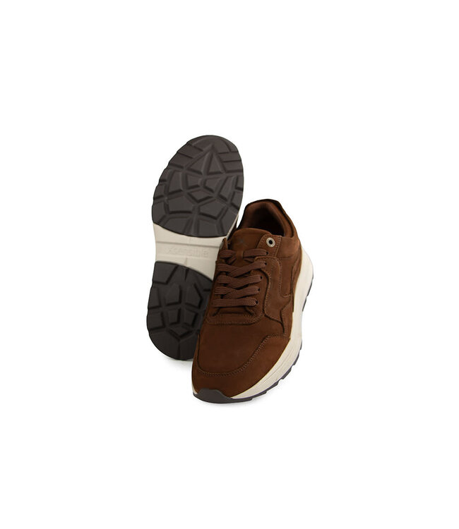 Xsensible Golden Gate Men H Brown