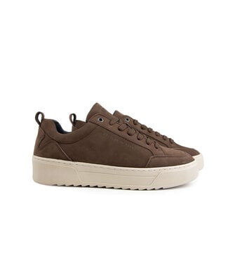 Cycleur de Luxe Cycleur de Luxe Bishop TS2 Chocolate Lab