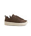 Cycleur de Luxe Bishop TS2 Chocolate Lab