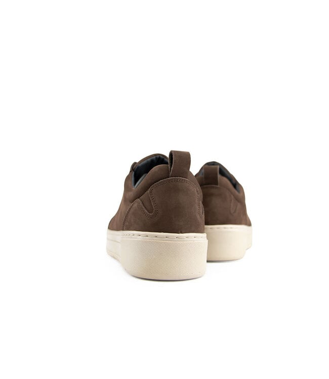 Cycleur de Luxe Bishop TS2 Chocolate Lab