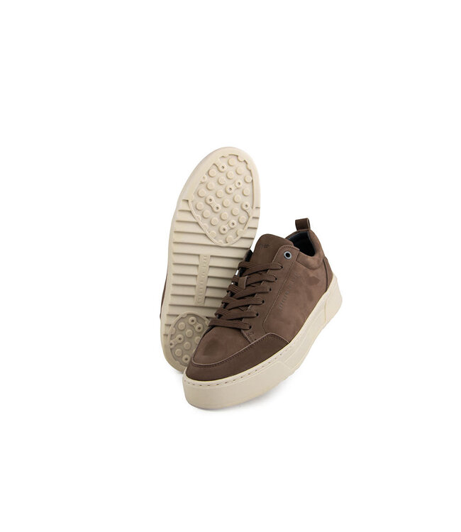Cycleur de Luxe Bishop TS2 Chocolate Lab