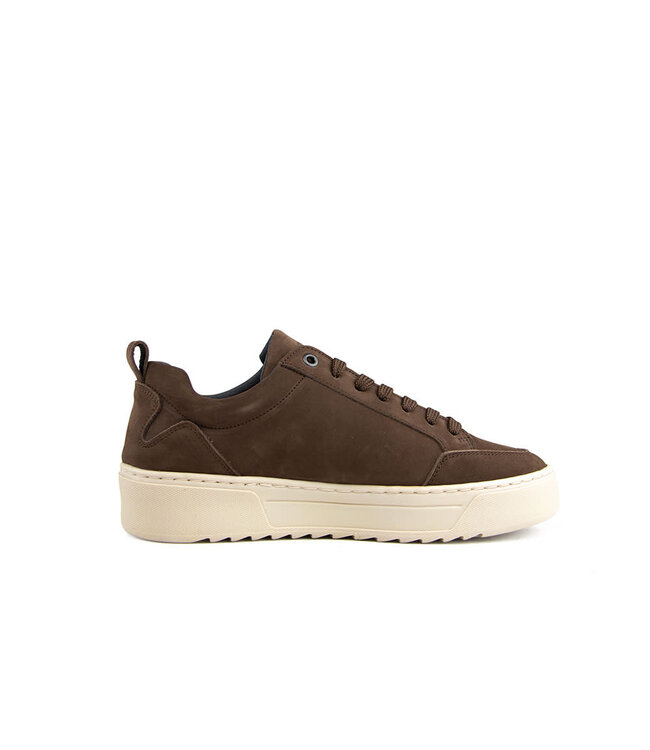 Cycleur de Luxe Bishop TS2 Chocolate Lab