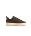 Cycleur de Luxe Bishop TS2 Chocolate Lab