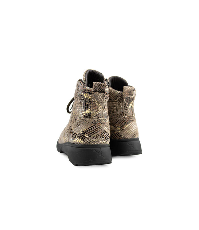 Xsensible Romagna H Camel Fantasy