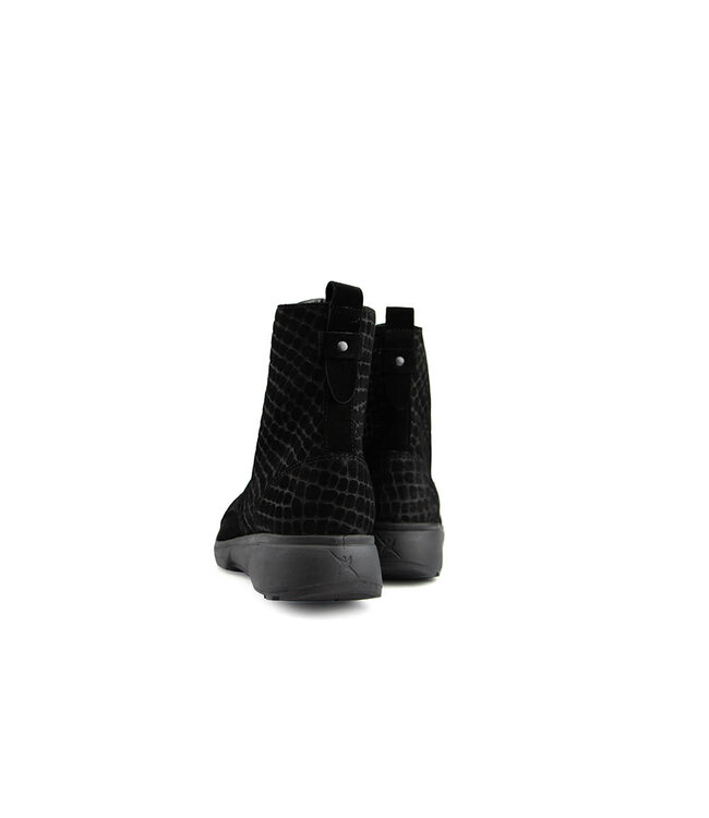 Xsensible Asti HX Black Fantasy