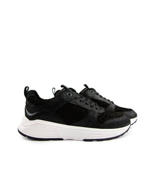 Xsensible Xsensible Newport GX Black Fantasy