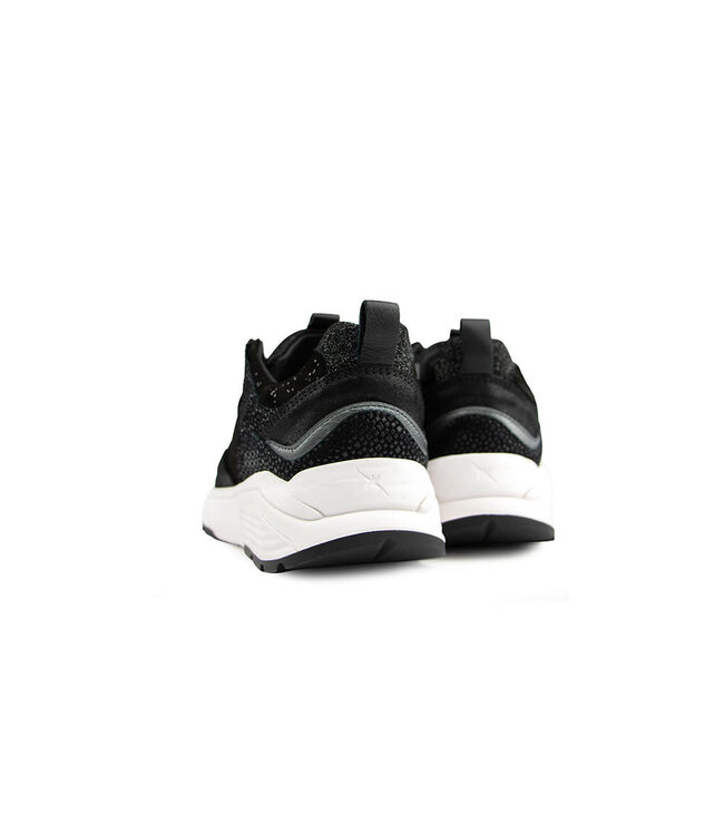 Xsensible Newport GX Black Fantasy