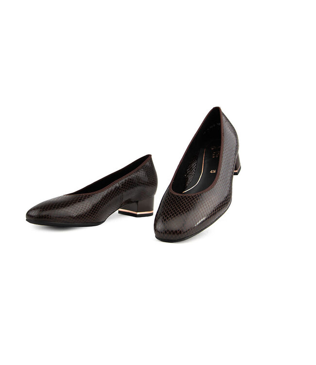 Ara Pump Snake Multi Caffee