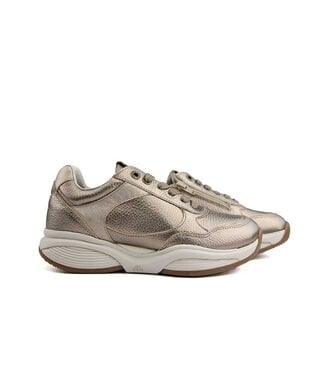 Xsensible Xsensible SWX27 H Champagne
