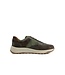 Waldlaufer John D.Brown Moos Oliv K