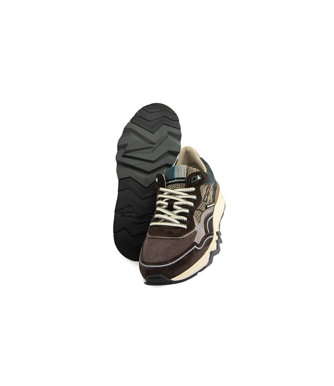 Floris van Bommel De Zager 03.14 D.Brown
