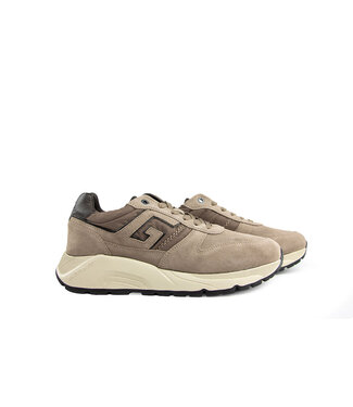Greve Greve Sneaker Arnhem Arkansa Suède