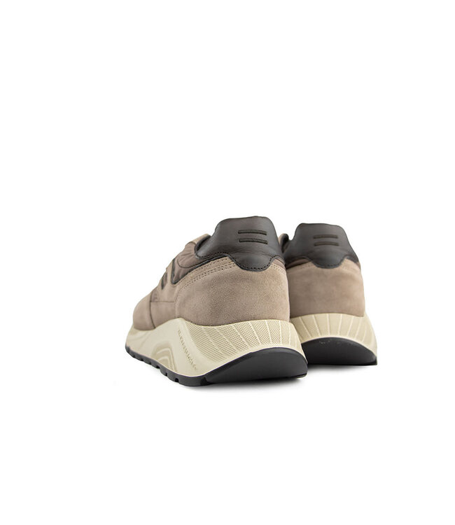 Greve Sneaker Arnhem Arkansa Suède