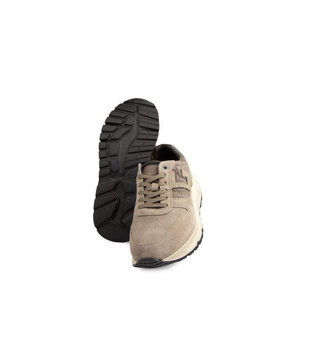 Greve Sneaker Arnhem Arkansa Suède