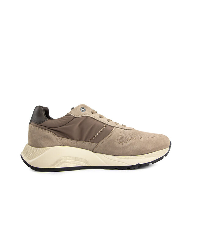 Greve Sneaker Arnhem Arkansa Suède